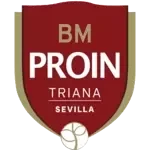 Team