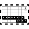 Handball Esch