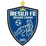 Team
