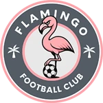 Flamingo Football Club