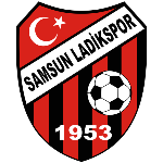 Team