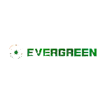 Evergreen