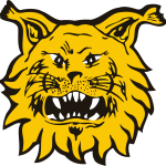 Ilves/FL Keltainen