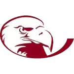 Lock Haven Bald Eagles