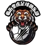 Linyi Yihu U20