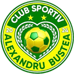 Team