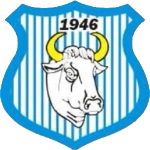Team