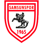 Team