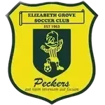 Team