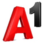 A1