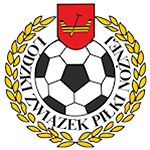 Puchar Polski ŁZPN