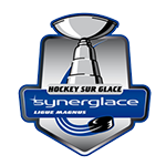 Ligue Magnus, Relegation Round