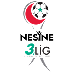 Nesine 3. Lig, Grup 4