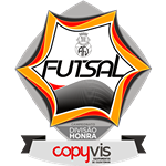 A.F. Viseu Divisão de Honra - COPYVIS