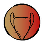 A.F. Vila Real Taça de Honra