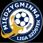 MLS - Międzygminna Liga Szóstek