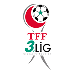 3. Lig, Playoffs
