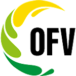 5. Liga OFV - Qualifikation - Gruppe 1