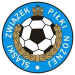 Puchar Polski - Śląski ZPN