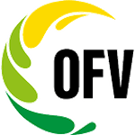 3. Liga OFV - Gruppe 1