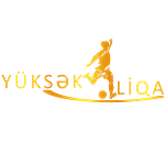 Yüksək liqa